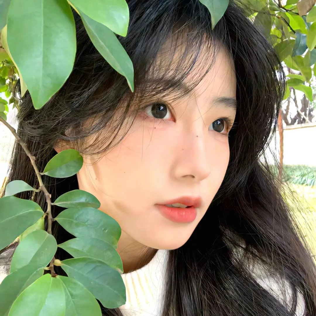 五个堕落的男女